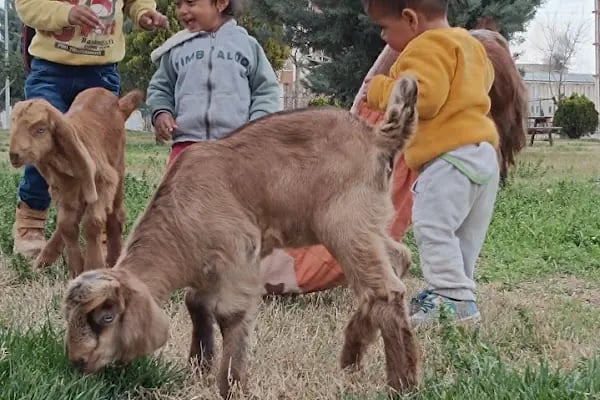 Merhume Avaş BEYRET Parkı - Resim 9