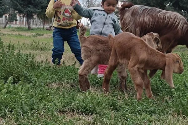 Merhume Avaş BEYRET Parkı - Resim 6