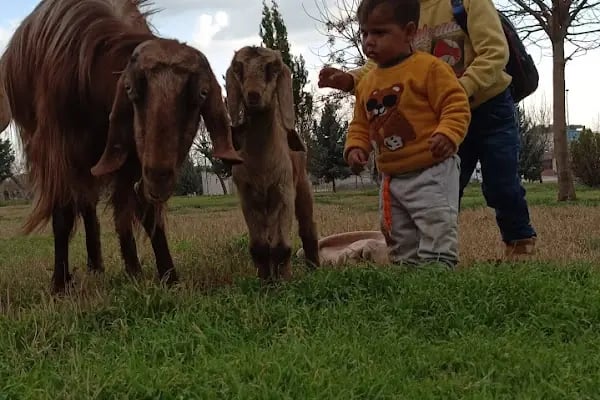 Merhume Avaş BEYRET Parkı - Resim 14