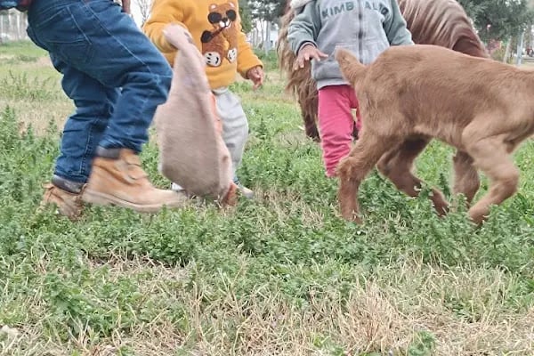 Merhume Avaş BEYRET Parkı - Resim 18