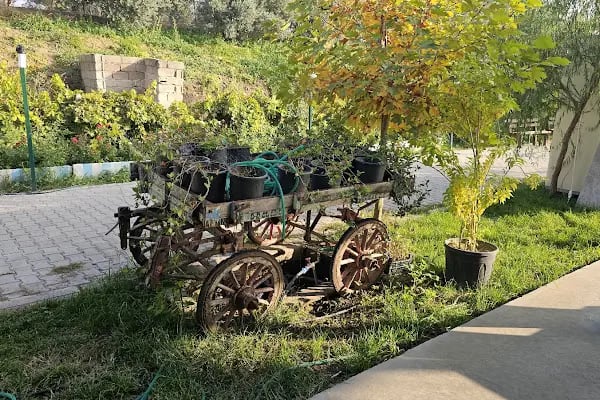 GRN Atlı Spor Kulübü - Resim 12