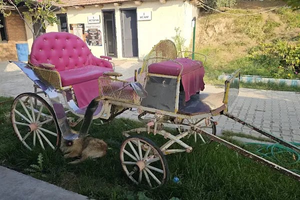 GRN Atlı Spor Kulübü - Resim 15