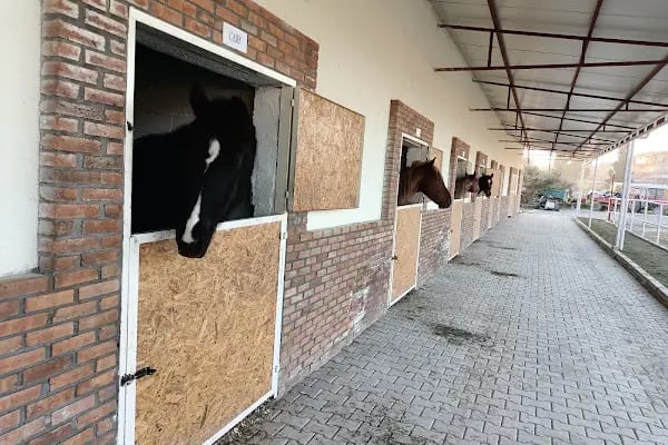 GRN Atlı Spor Kulübü - Resim 19