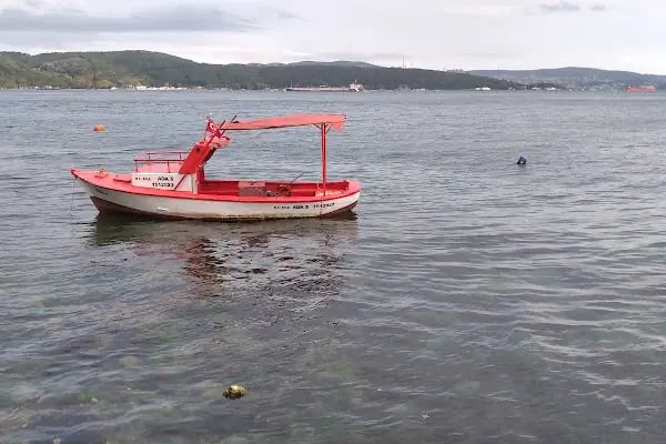 Sarıyer Altınkum Bayanlar Plajı - Resim 9