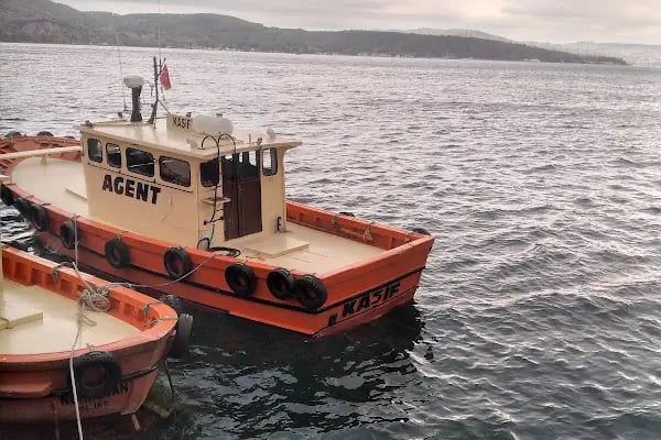 Sarıyer Altınkum Bayanlar Plajı - Resim 4