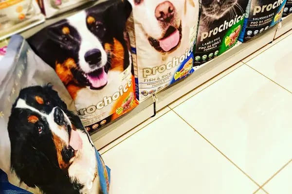 Lara Pet Center - Resim 18
