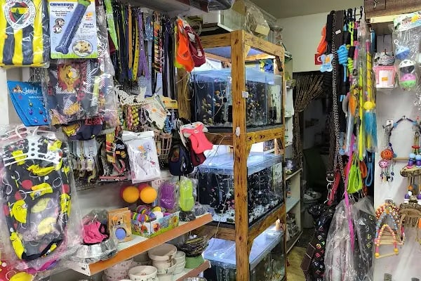 Ahes Akvaryum Ve Kuş Galerisi - Resim 19