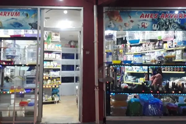 Ahes Akvaryum Ve Kuş Galerisi - Resim 15