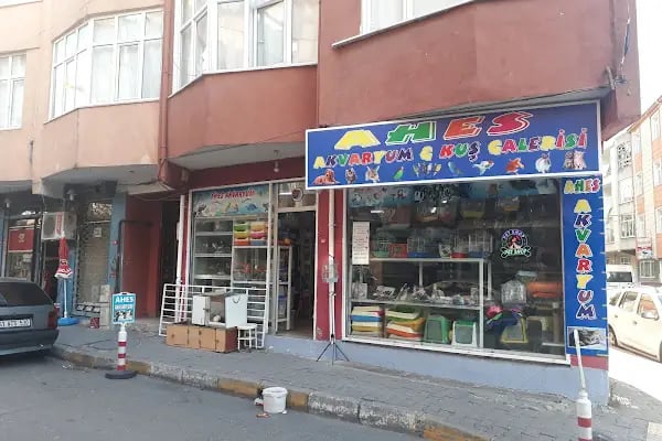 Ahes Akvaryum Ve Kuş Galerisi - Resim 17