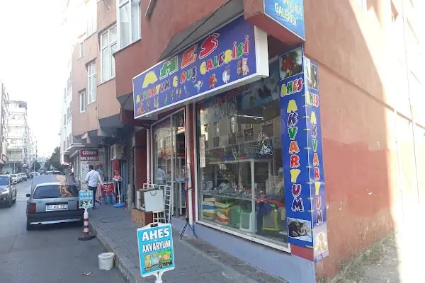 Ahes Akvaryum Ve Kuş Galerisi - Resim 20