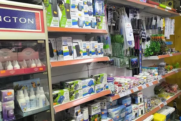 Ahes Akvaryum Ve Kuş Galerisi - Resim 10