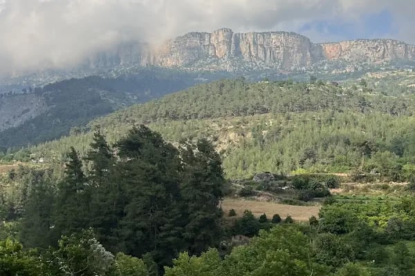 Saklı Şelale KORAMŞALI - Resim 13