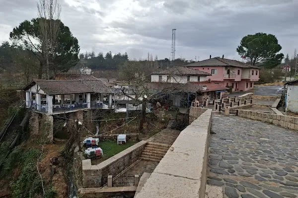 Elmas Restaurant Hotel - Resim 15