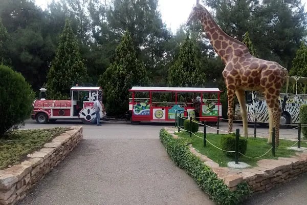 Gizem Doğan Yaşam Kampı - Resim 4