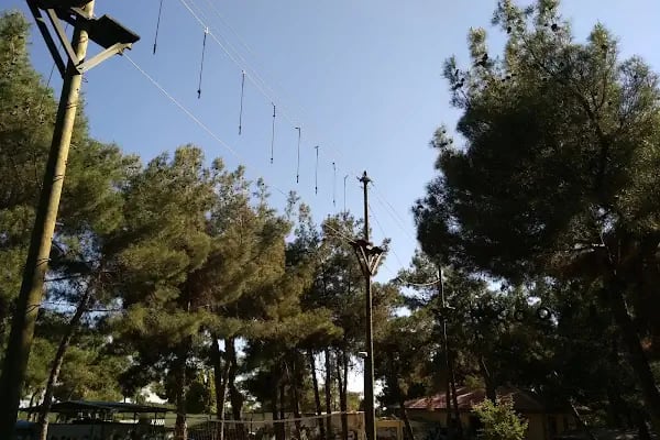 Gizem Doğan Yaşam Kampı - Resim 20