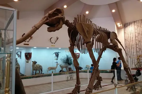 Gizem Doğan Yaşam Kampı - Resim 10