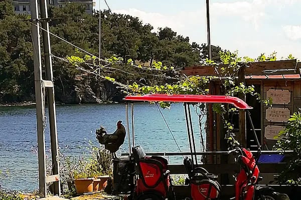 Heybeliada Yalı Butik Pansiyon - Resim 19