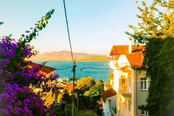 Heybeliada Yalı Butik Pansiyon - Resim 16