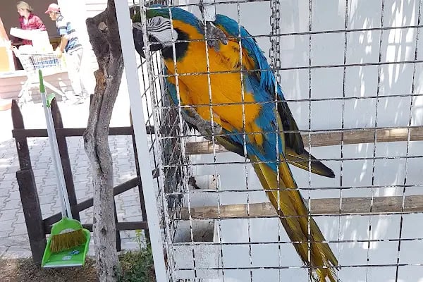 ErdekLand Hayvanat Bahçesi ve Aquapark - Resim 13