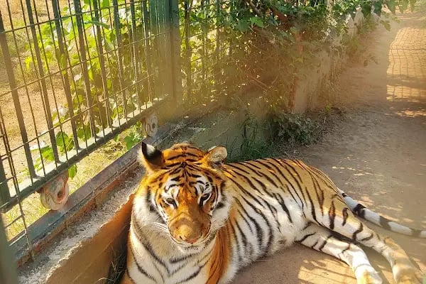 ErdekLand Hayvanat Bahçesi ve Aquapark - Resim 4