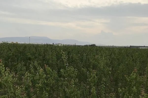 Malatya II.Organize Sanayi Bölge Müdürlüğü - Resim 16