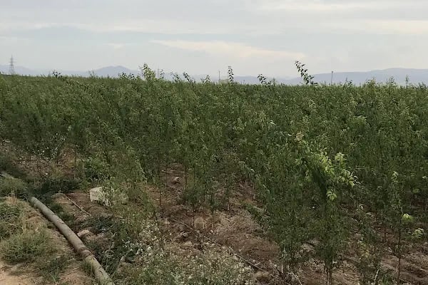 Malatya II.Organize Sanayi Bölge Müdürlüğü - Resim 17