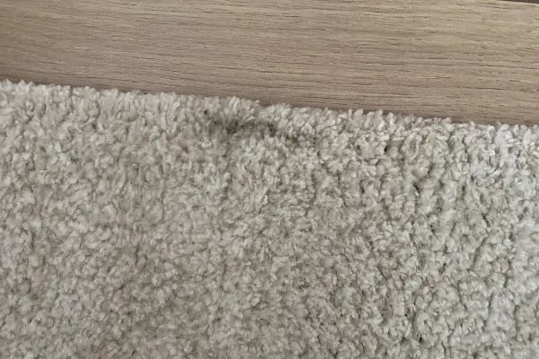 Lavanta Kuru Temizleme İncek Şube - Resim 4