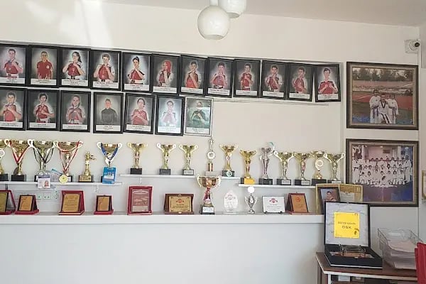 Nilüfer Kick Boks - Resim 2