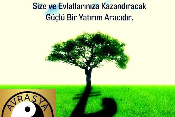 Adana Satılık Daire - Avrasya Gayrimenkul - Resim 17