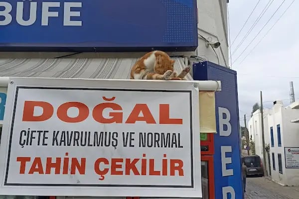 Doğal Taş Yapı &amp; İnşaat - Bodrum Doğal Taş İmalat - Resim 11
