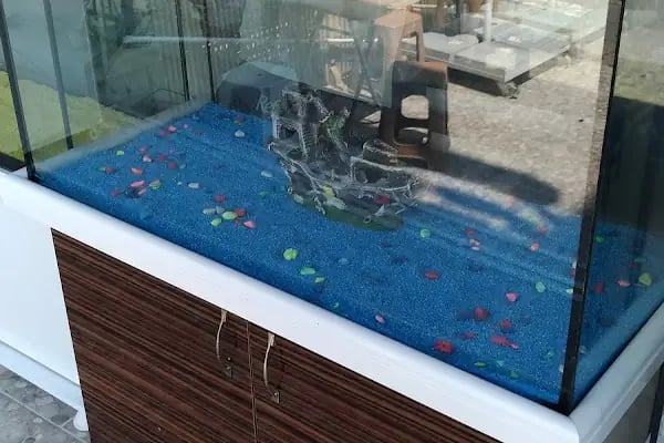 İzmir Petshop&amp;Yem - Resim 9
