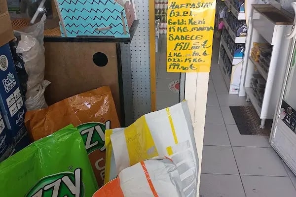 Bağlıca Altay Petshop - Resim 12