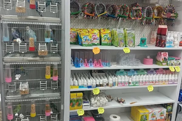 Bağlıca Altay Petshop - Resim 7