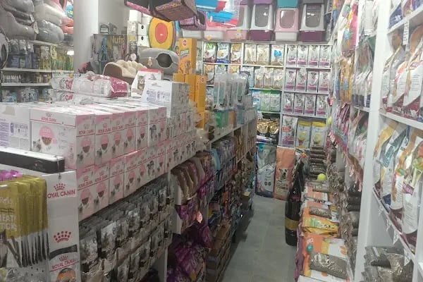 Bağlıca Altay Petshop - Resim 11