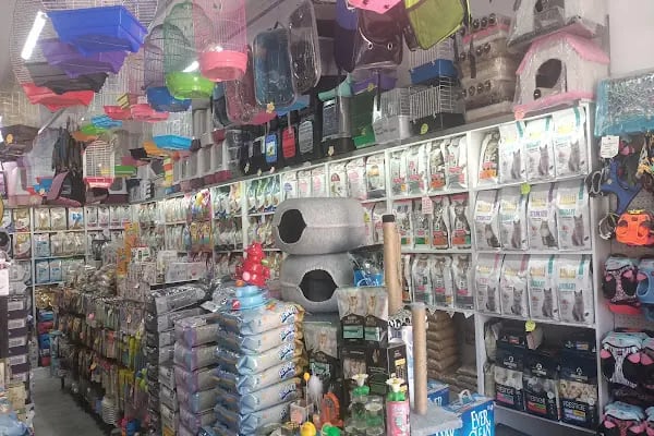 Bağlıca Altay Petshop - Resim 2