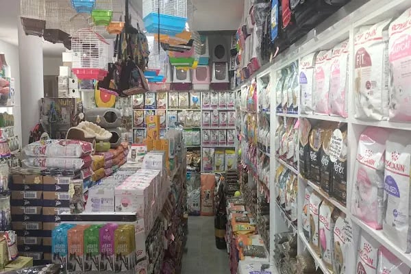 Bağlıca Altay Petshop - Resim 14