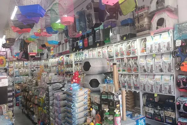 Bağlıca Altay Petshop - Resim 5
