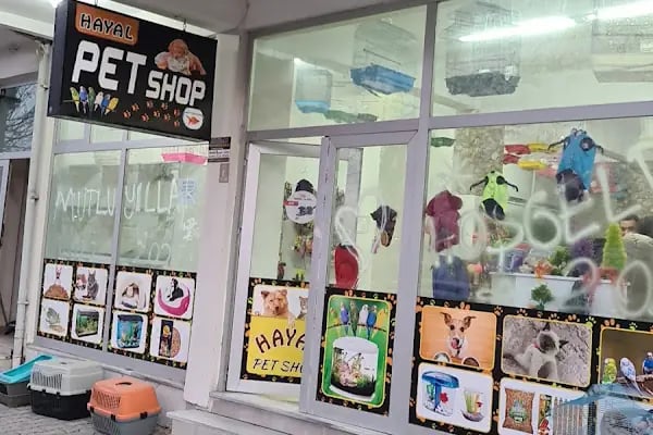 Hayal Petshop - Resim 6