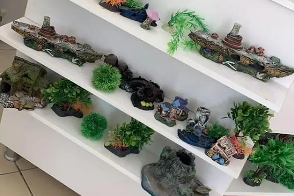 Hayal Petshop - Resim 3