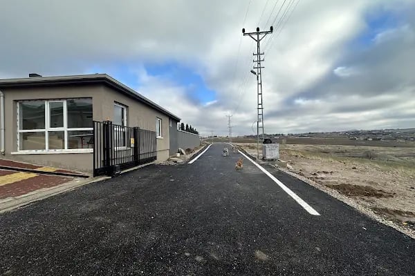 Vadi Altındağ Villaları - Resim 3