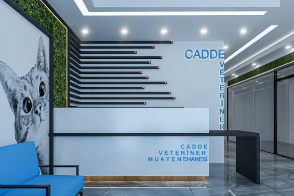 Cadde Veteriner Kliniği - Resim 7