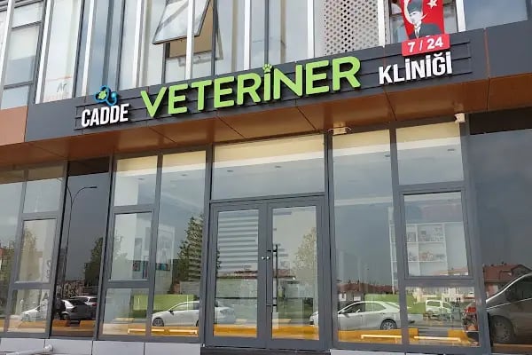 Cadde Veteriner Kliniği - Resim 2