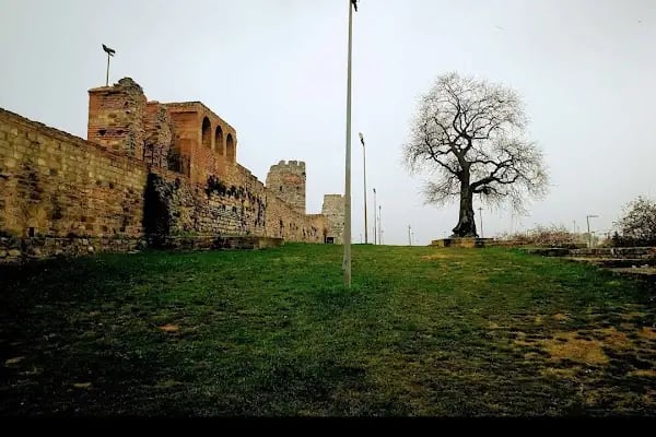 Fetihkapı - Resim 12