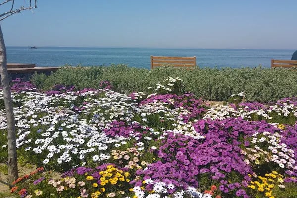 Bakü Parkı - Resim 16