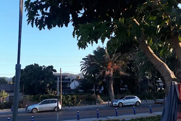 Bakü Parkı - Resim 15