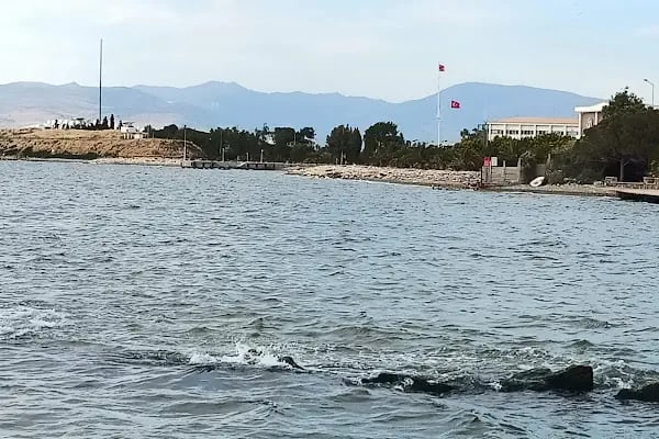 Bakü Parkı - Resim 13