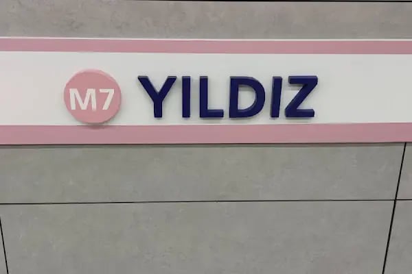 Yıldız - Resim 17
