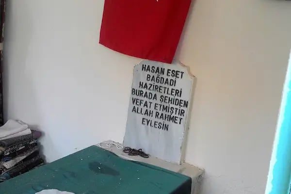 HASAN ESAD BAĞDADİ HAZRETLERİ TÜRBESİ - Resim 8