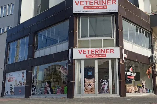 Damla Veteriner Muayenehanesi - Resim 20