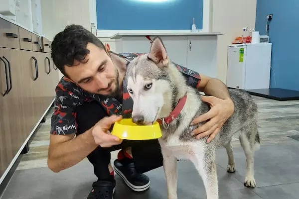 Hannevet Veteriner Kliniği - Resim 13